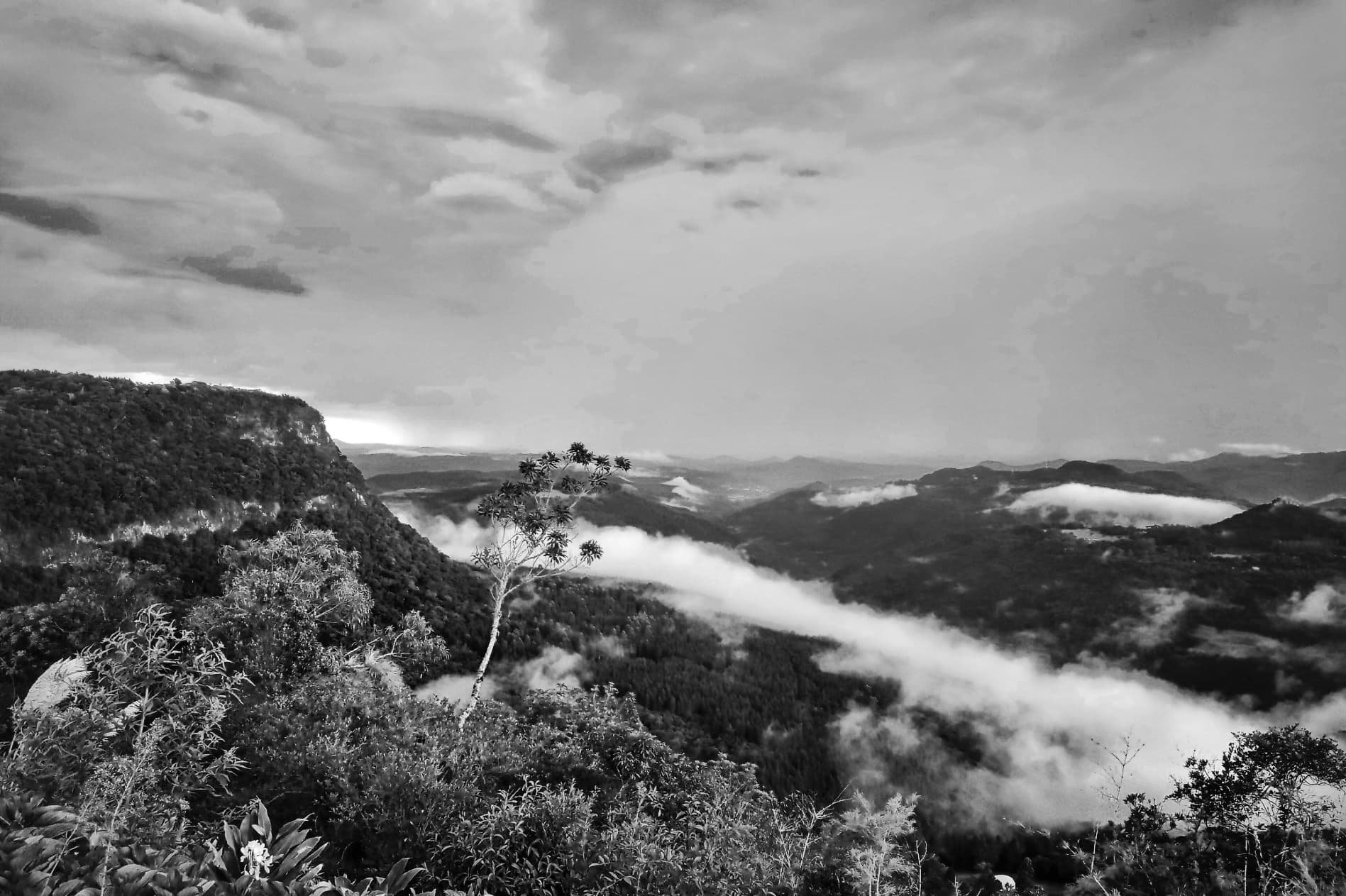 Respiração do Vale